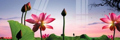 Download file Tranh hoa sen cá cửu ngư quần hội S3464 (gốc) in mica bàn thờ