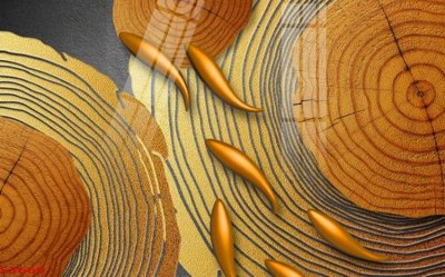 File in trần Tranh hoa sen cá cửu ngư quần hội S3660 (bản gốc) 5D