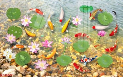 File PSD Tranh hoa sen cá cửu ngư quần hội S3869 (bản gốc) đã tách nền