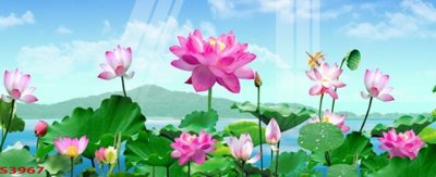 Tải về file gốc Tranh hoa sen cá cửu ngư quần hội S3967 (chuẩn in ấn)