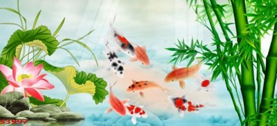 File gốc Tranh hoa sen cá cửu ngư quần hội S3997 (in mica) làm bảng hiệu