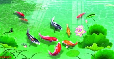 File PSD Tranh hoa sen cá cửu ngư quần hội S3999 (gốc) nhiều lớp (multi-layer)