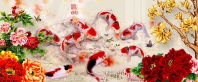 File gốc Tranh hoa sen cá cửu ngư quần hội S4001 cho in ấn và thiết kế