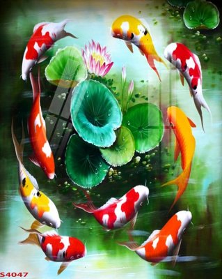 File in mica Tranh hoa sen cá cửu ngư quần hội S4047 (bản gốc) làm vách ngăn