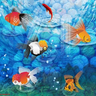 Download file Tranh hoa sen cá cửu ngư quần hội S4065 (gốc) cho xưởng in