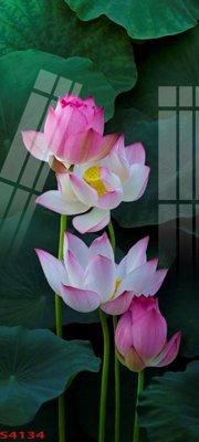 Download file gốc Tranh hoa sen cá cửu ngư quần hội S4134 (in mica) trong suốt