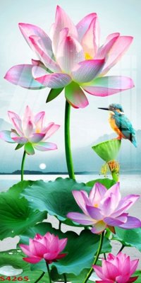 File gốc Tranh hoa sen cá cửu ngư quần hội S4265 (dành cho quảng cáo)
