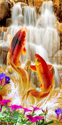 File tranh Tranh hoa sen cá cửu ngư quần hội S4282 (gốc) in film