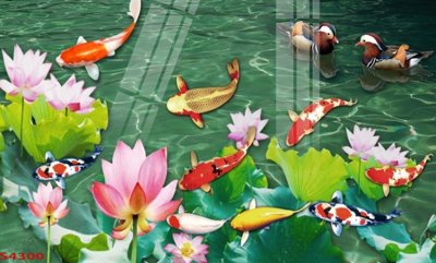 File tranh Tranh hoa sen cá cửu ngư quần hội S4300 (ảnh gốc) độc quyền