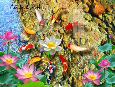 File tranh Tranh hoa sen cá cửu ngư quần hội S4336 (ảnh gốc) sắc nét hoàn hảo