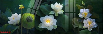 File tranh gốc Tranh hoa sen cá cửu ngư quần hội S4443 (bản quyền) độc đáo