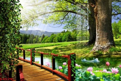 File tranh Tranh hoa sen cá cửu ngư quần hội S4529 (bản gốc) in canvas