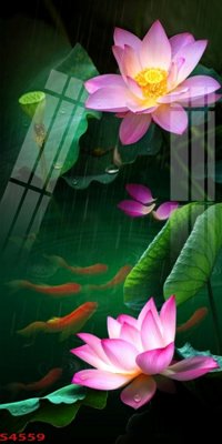 File tranh Tranh hoa sen cá cửu ngư quần hội S4559 (file gốc) chủ đề phong thủy