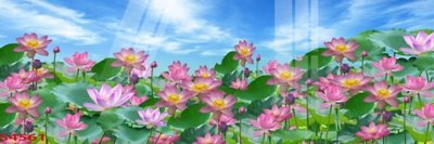 File gốc Tranh hoa sen cá cửu ngư quần hội S4561 (in ấn) màu sắc trung thực