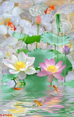 File tranh Tranh hoa sen cá cửu ngư quần hội S4563 (gốc) chủ đề tĩnh vật
