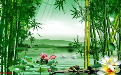 Download file Tranh hoa sen cá cửu ngư quần hội S4565 (chuẩn in) Tranh hoa sen cá cửu ngư quần hội S4565