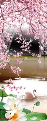 File gốc Tranh hoa sen cá cửu ngư quần hội S4627 (dành cho quảng cáo)