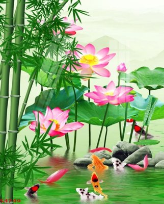 File in trần Tranh hoa sen cá cửu ngư quần hội S4749 (bản gốc) mây trời