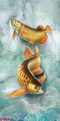 Tải file Tranh hoa sen cá cửu ngư quần hội S4849 (gốc) in nhanh