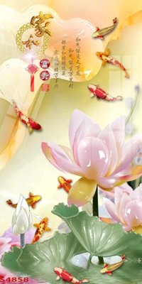 Download file Tranh hoa sen cá cửu ngư quần hội S4858 (gốc) in mica cao cấp