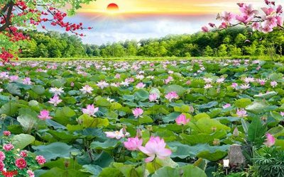 File in trần Tranh cửu ngư quần hội sen cá S486 (bản gốc) bầu trời