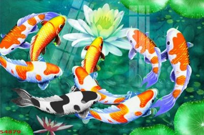 File tranh Tranh hoa sen cá cửu ngư quần hội S4879 (bản gốc) treo tường