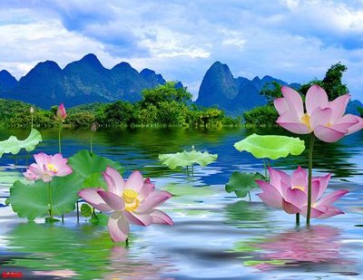 Ảnh gốc Tranh cửu ngư quần hội sen cá S488 (nét căng) in mica