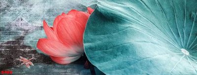 File tranh Tranh cửu ngư quần hội sen cá S489 (ảnh gốc) không bị mờ