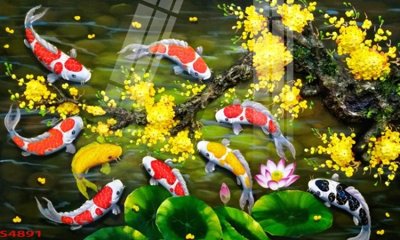 File gốc Tranh hoa sen cá cửu ngư quần hội S4891 (PNG) không nền chất lượng