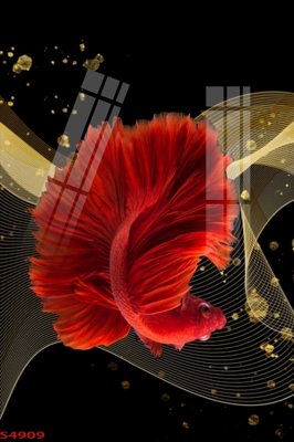 File ảnh Tranh hoa sen cá cửu ngư quần hội S4909 (gốc) in poster