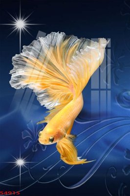 File ảnh Tranh hoa sen cá cửu ngư quần hội S4915 (gốc) cho trang trí nhà hàng