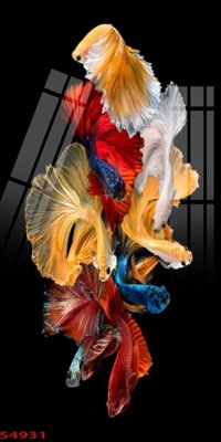 Download file Tranh hoa sen cá cửu ngư quần hội S4931 (chuẩn in) chất lượng cao