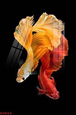 File PSD Tranh hoa sen cá cửu ngư quần hội S4933 (bản gốc) cho nhà in