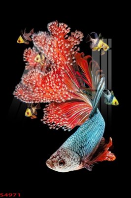 File gốc in ấn Tranh hoa sen cá cửu ngư quần hội S4971 chuẩn màu CMYK