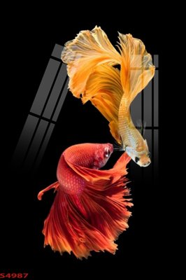 File PSD Tranh hoa sen cá cửu ngư quần hội S4987 (nguyên gốc) chất lượng cao