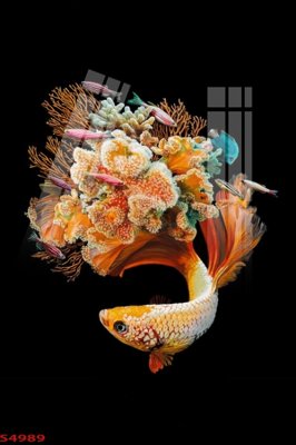 File ảnh Tranh hoa sen cá cửu ngư quần hội S4989 (gốc) in poster