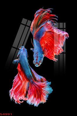 Tải về file gốc Tranh hoa sen cá cửu ngư quần hội S4991 (chuẩn in ấn)