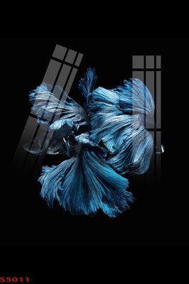 Chi tiết file gốc Tranh hoa sen cá cửu ngư quần hội S5011 (cho in tráng gương)