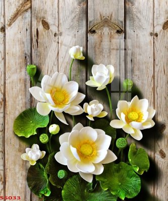 File gốc Tranh hoa sen cá cửu ngư quần hội S5033 (AI/EPS) cho in ấn