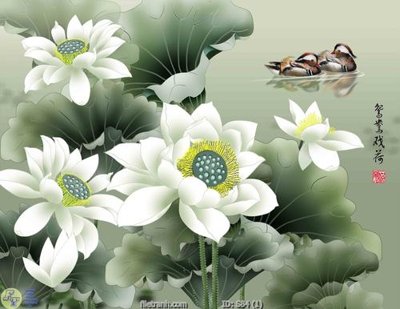 File in trần Tranh cửu ngư quần hội sen cá S84 (bản gốc) phong cảnh