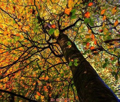 Tải file gốc File tranh sơn dầu SD107 (in tráng gương) 3DFile gốc File tranh sơn dầu SD107 (sẵn sàng in) chất lượng cao