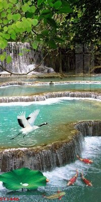 Hình ảnh file gốc in trần nhà Tranh sơn thủy thác nước phong thủy ST1446