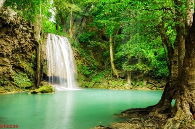 Tải file Tranh sơn thủy thác nước phong thủy ST2236 (gốc) chủ đề hoa sen