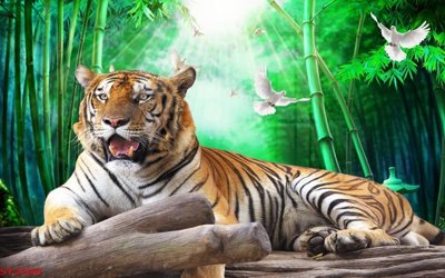 File tranh Tranh sơn thủy thác nước phong thủy ST2500 (ảnh gốc) in trần nhà