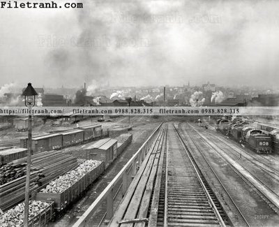 Tải file Scranton_ 1900 (gốc) chủ đề hoa sen