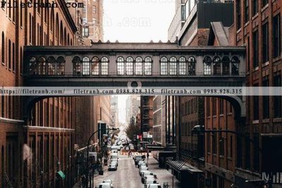 File in lụa Street020 (hoa văn) Street020