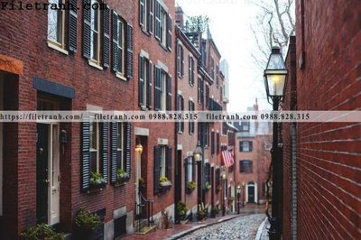 File gốc Street101 (in lụa) hoa văn cổ điển