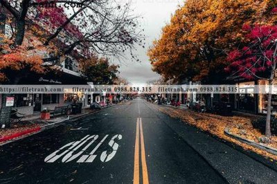 File ảnh Street105 (gốc) trang trí khách sạn