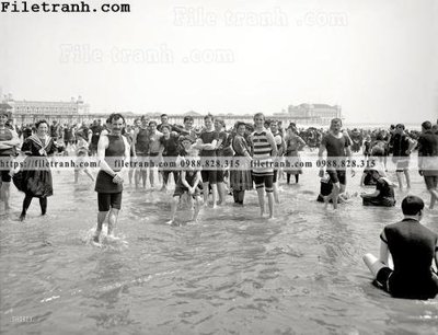 Download file gốc Stripes and Solids_ 1905 (in mica) logo