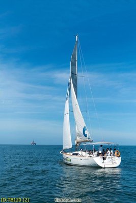 File in trần File thuận buồm xuôi gió TB120 (bản gốc) hoa văn